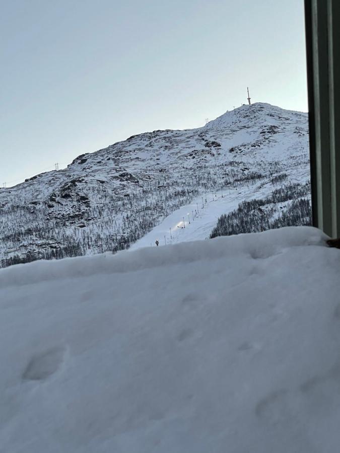 Presttind - Studio Apartment With Free Parking Narvik Exterior foto